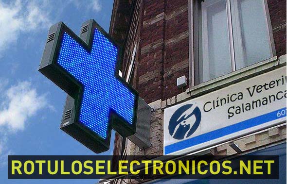 cruces para clinicas veterinarias con leds azules
