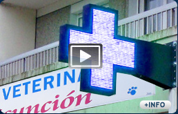 Cruces azules para clinicas veterinarias con leds de alta luminosidad