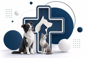 cruz veterinaria led | RotulosElectronicos.NET